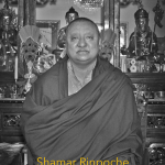 Kunzig Shamar Rinpoche, Oktober 2012, Stockholm